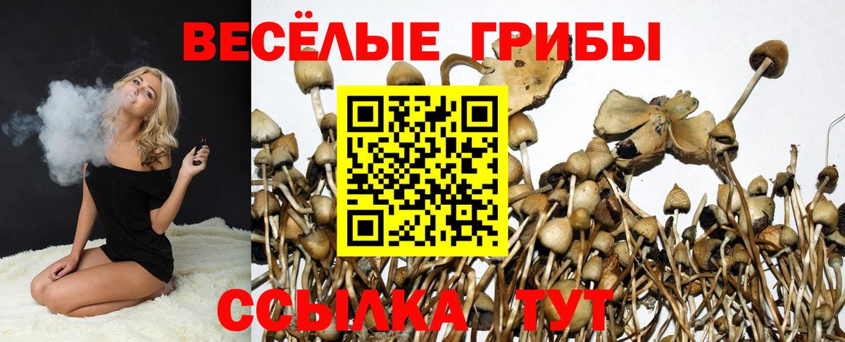 Псилоцибиновые грибы прущие грибы Краснокаменск