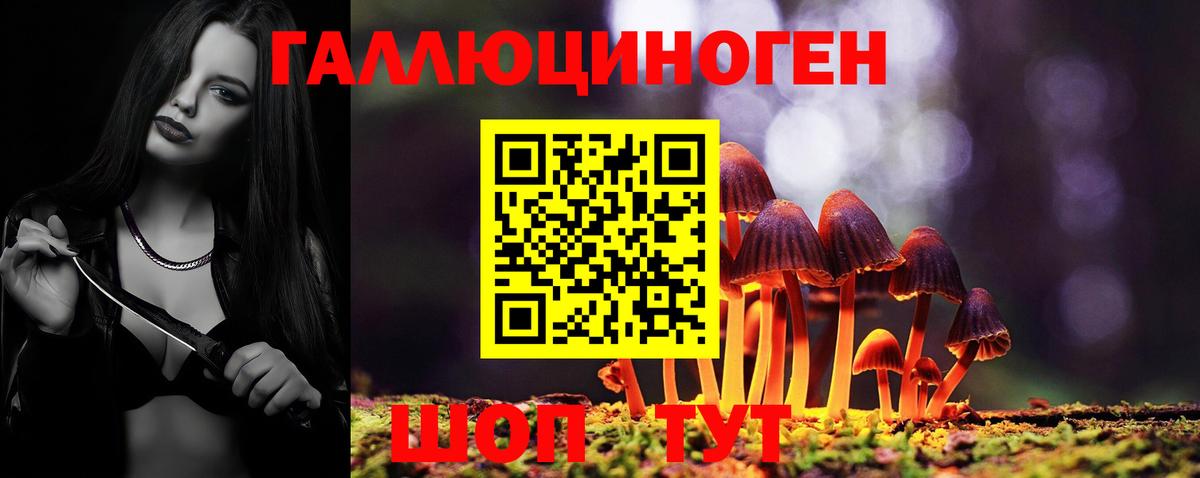 Галлюциногенные грибы GOLDEN TEACHER  Псилоцибиновые грибы Psilocybine cubensis  Вход с VPN  Краснокаменск 